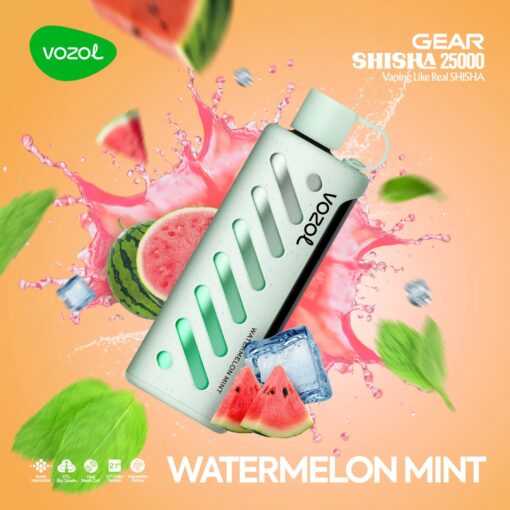 Vozol Gear Shisha 25000 Puffs Disposable Vape In UAE